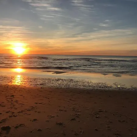 Ocean, Environnement Calme Avec Piscine Chauffee 10 Min De L'ocean *